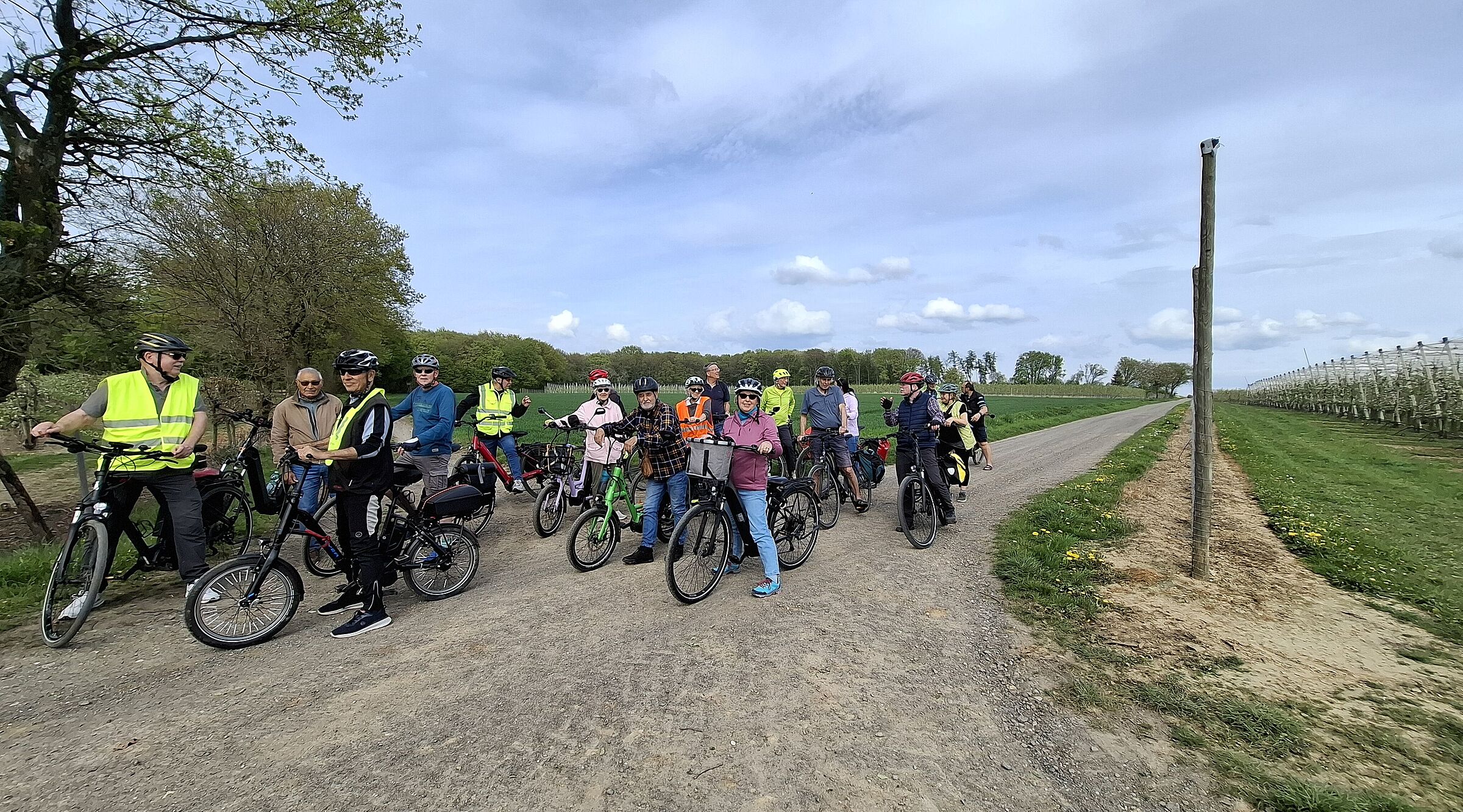 Das Bild zeigt eine Gruppe von 20 Radfahrenden der Hofladentour beim Stopp vor einer blüghenden Apfelplantage am Ortsrand von Werthhoven
